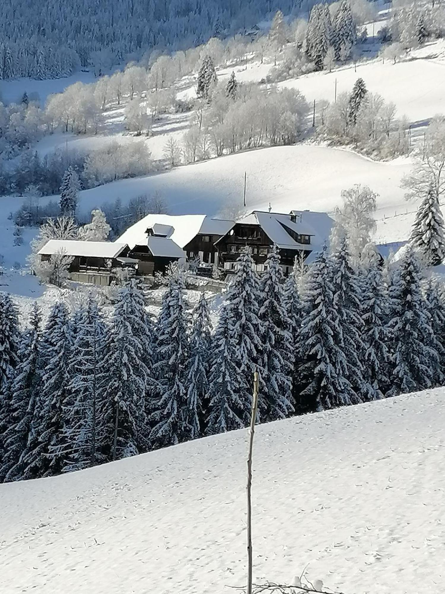 Hotel Surtmannhof Sirnitz Esterno foto